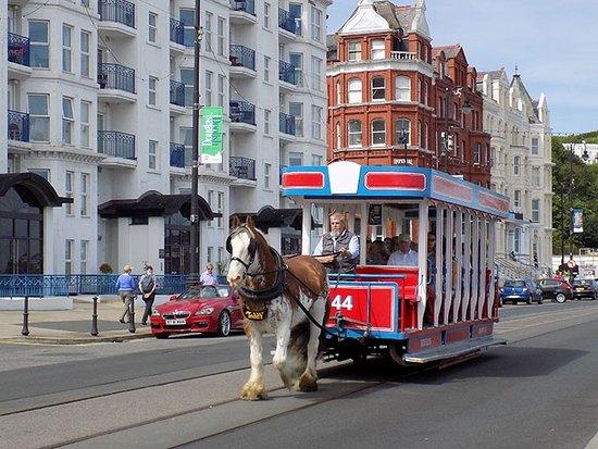 Douglas Bay Horse Tramway