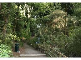 Summerhill Glen